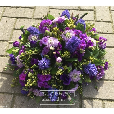 Voorjaarsbiedermeier paarsblauwe bloemen